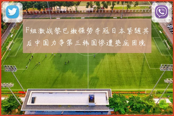 F组激战黎巴嫩强势夺冠日本紧随其后中国力争第三韩国惨遭垫底困境